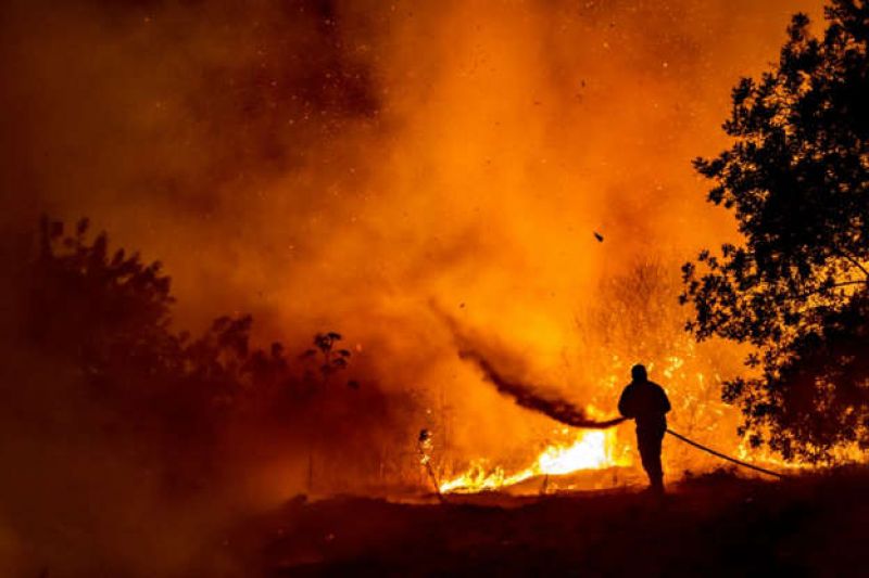 A firefighter battles the flame in a forest on the slopes of the Throodos mountain chain, as a giant fire rages on the Mediterranean island of Cyprus-df82cea23c98bf11ea1b372d730cb8fc1625474855.jpg